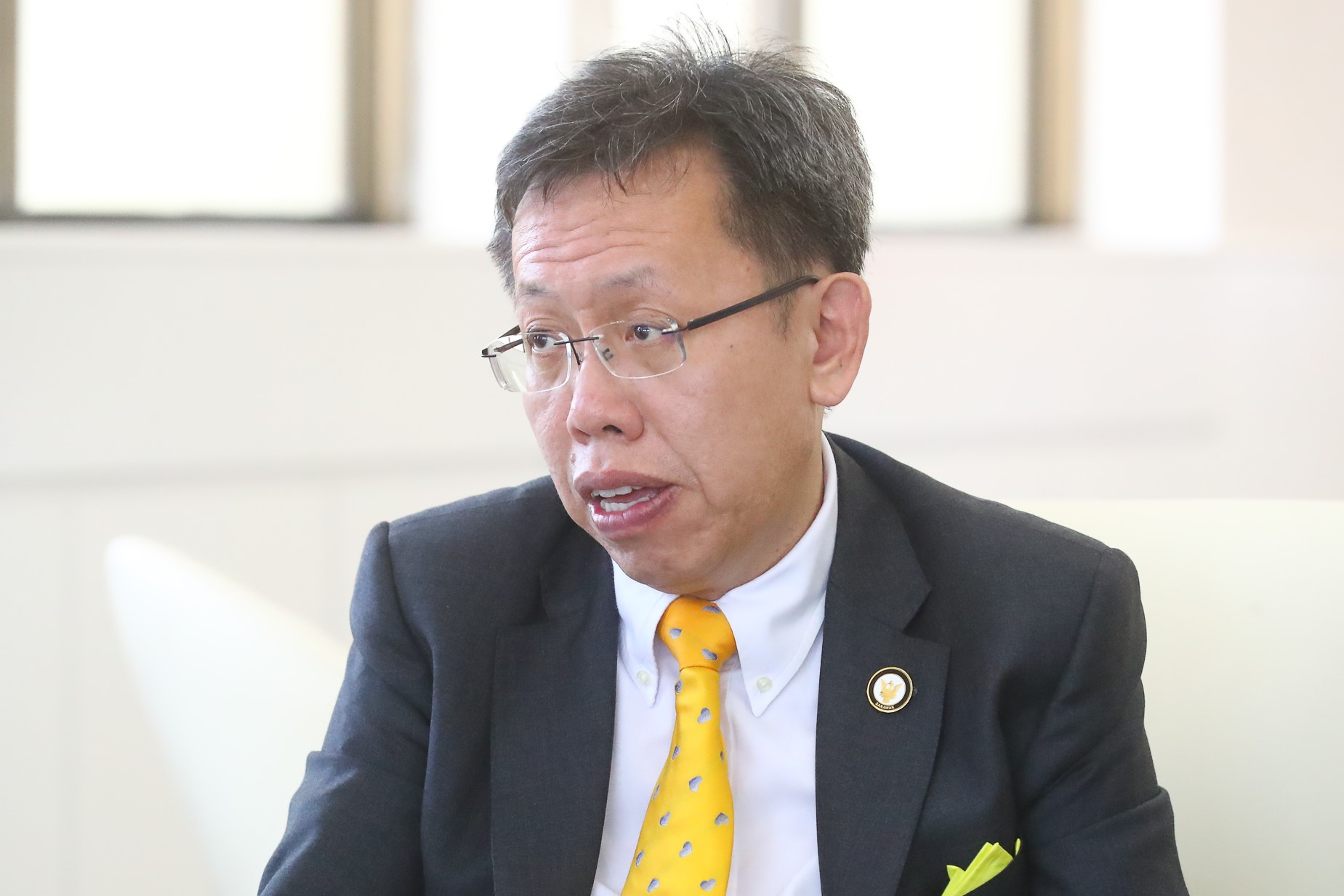 Crucial for Sarawak to be represented in IRB: Dr Sim